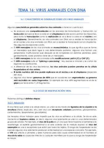 TEMA-16.pdf