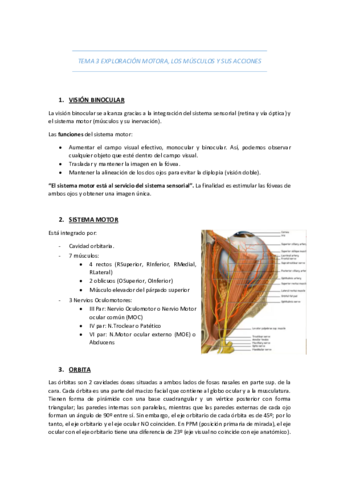 TEMA-3-EXPLORACION-MOTORA-LOS-MUSCULOS-Y-SUS-ACCIONES.pdf