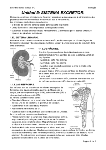 Bio3Unidad5.pdf