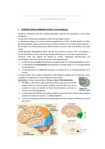 TEMA-4-DOMINANCIA-OCULAR.pdf