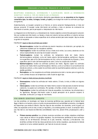 SEMINARIO-4-CELIA.pdf