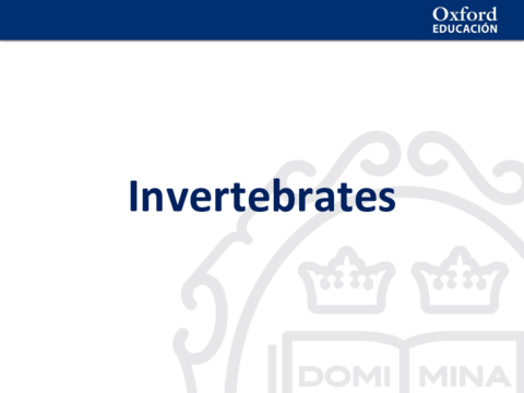 Minibook-Invertebrates-1819-presentation.pdf