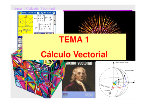 Tema1-Vectores2016-17.pdf