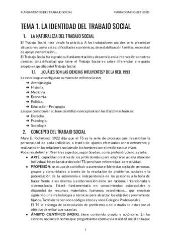TEMA-1-FUNDAMENTOS-TS.pdf