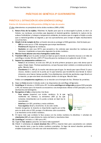 Practicas-genetica-2o-cuatrimestre.pdf