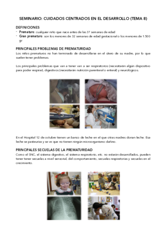 Seminario-Cuidados-centrados-en-el-desarrollo-tema-8.pdf