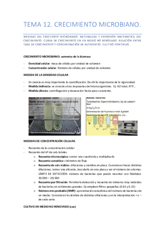 TEMA-12.pdf