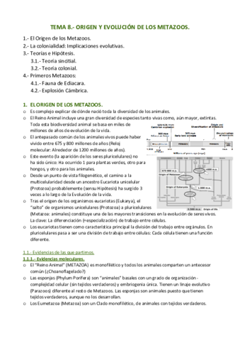 APUNTES-T.pdf