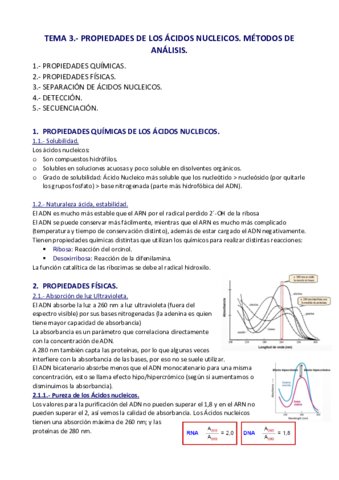 APUNTES-T.pdf