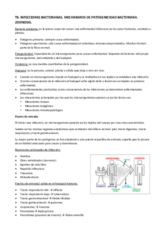 TEMA-8.pdf