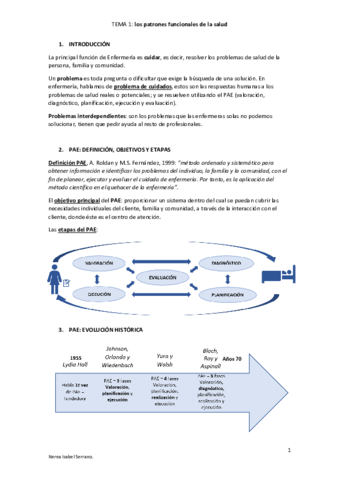 Tema 1- PAE, patrones funcionales pdf