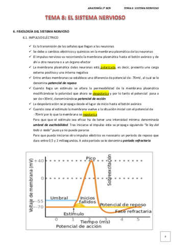 Tema-8-Sistema-nervioso-II.pdf