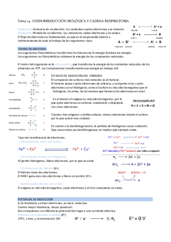 Tema-14-oxidorreduccion-biologica.pdf