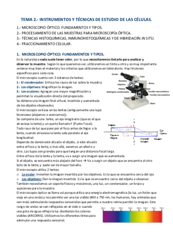 APUNTES-T.pdf