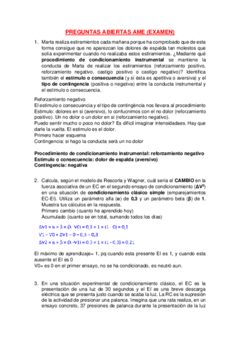 PREGUNTAS-ABIERTAS-AME-copia.pdf