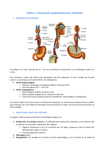 Tema-1.pdf