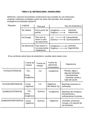 El-anabolismo-tema-9.pdf