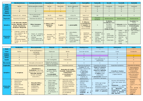 Temario-primer-parcial-Micro-II.pdf