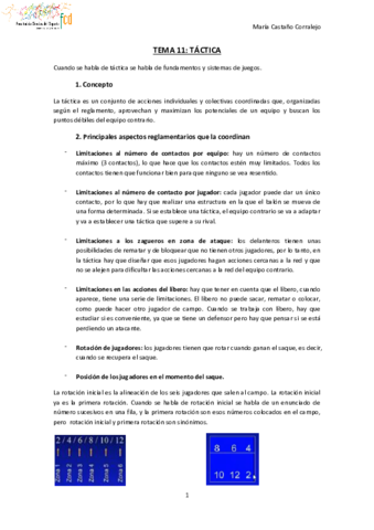 TEMA-11-VOLEIBOL.pdf