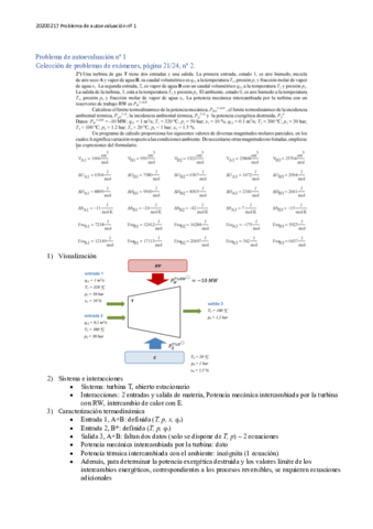 PROBLEMAS-AUTOEVALUACION-RESUELTOS.pdf