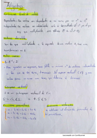 Apuntes-algebra-para-no-ir-a-clase.pdf