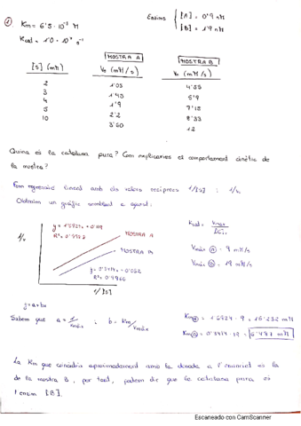 Examen-problemas.pdf