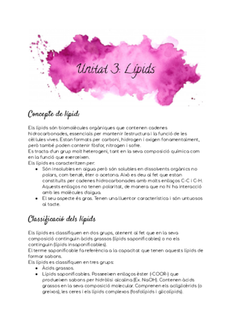 Unitat-3-Lipids.pdf