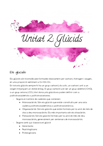 Unitat-2-Glucids.pdf
