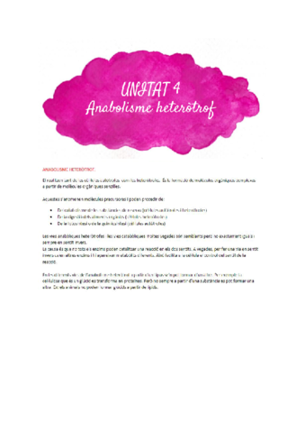 UNITAT-4-Anabolisme-heterotrof.pdf