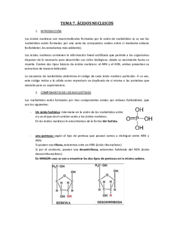 TEMA-7-ACIDOS-NUCLEICOS.pdf