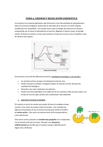 TEMA-6.pdf