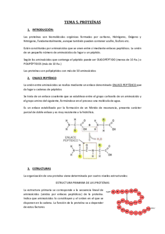 TEMA-5.pdf