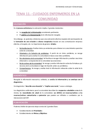 TEMA-11.pdf