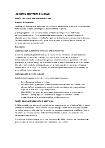 ACCIONES-DERIVADAS-DEL-DANO.pdf