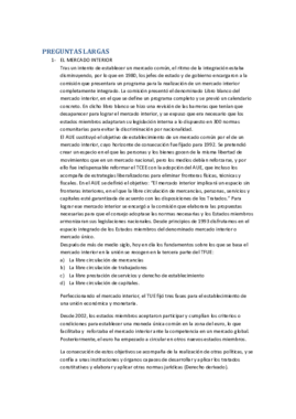 PREGUNTAS LARGAS.pdf
