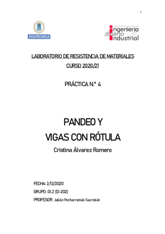 Practica4Pandeo-y-Rotula.pdf