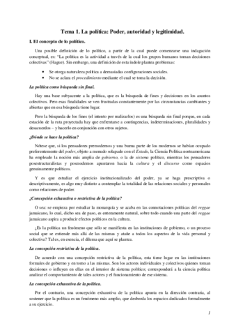 Apuntes politica.pdf