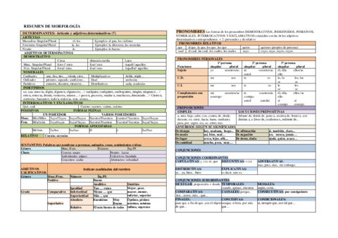 CUADRO-MORFOLOGIA-.pdf