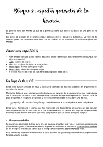 Bloque-2.pdf