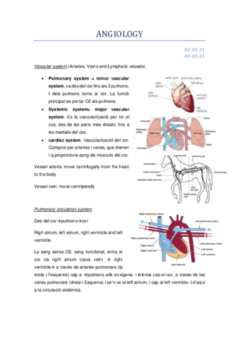 ANGIOLOGY-complet-2a-i-3a-classe-amb-catala-castella-english.pdf