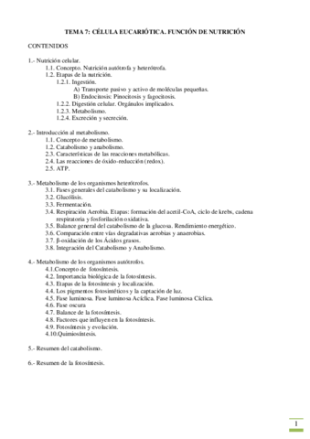 T-07-Metabolismo.pdf