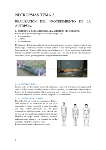 Tema 2 Necropsias.pdf