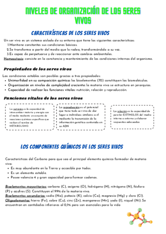 Niveles-de-organizacion-de-los-seres-vivos.pdf