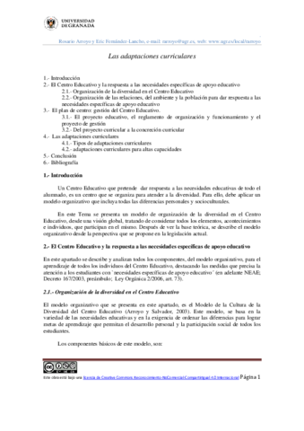 Adaptaciones-Curriculares.pdf
