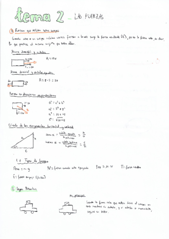 Fisica-Fuerzas.pdf