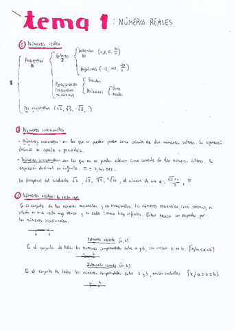 Matematicas-Numeros-reales.pdf