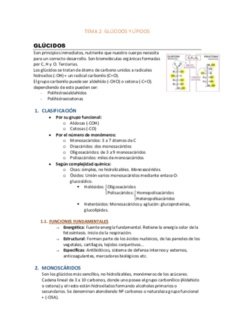 TEMA-2-GLUCIDOS-Y-LIPIDOS.pdf