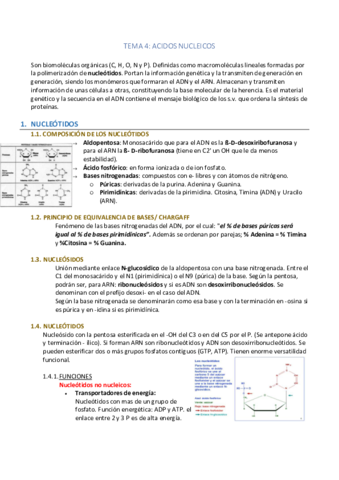 TEMA-4-ACIDOS-NUCLEICOS.pdf