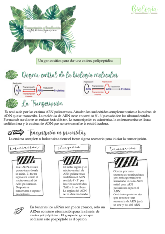 expresion-genetica.pdf