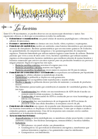microorganismos.pdf
